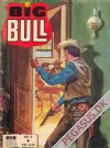 Big Bull 6