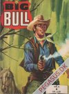 Big Bull 9