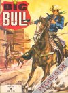 Big Bull 12