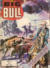 Big Bull 13