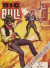 Big Bull 14
