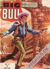 Big Bull 16