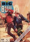 Big Bull 17