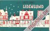 Livets gang i Lidenlund 6: 6. samling
