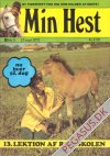 Min hest 1973 11