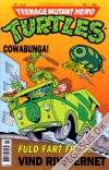 Teenage Mutant Hero Turtles 1991 1