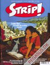 Strip! 41