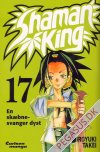 Shaman King 17: En sk&aelig;bnesvanger dyst