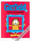 Garfield 43: Garfield i glas og ramme
