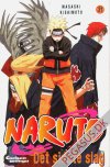 Naruto 31: Det sidste slag