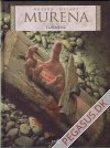 Murena 9: Tornene