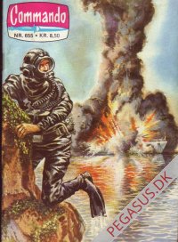 Commando-serien 655