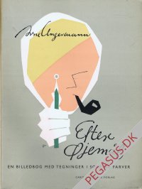 Efter &oslash;jem&aring;l