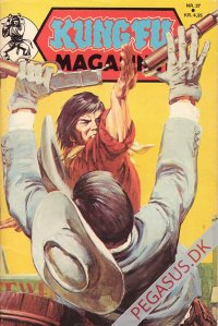 Kung Fu 27