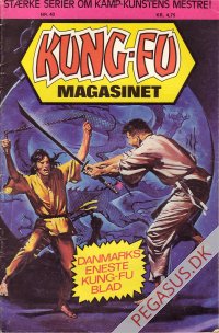 Kung Fu 40