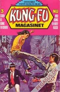 Kung Fu 42
