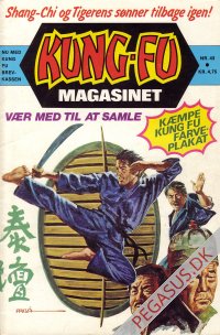 Kung Fu 43