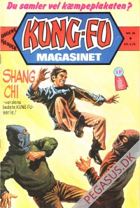 Kung Fu 45