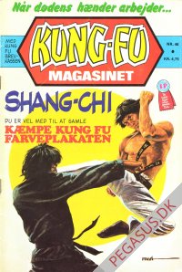 Kung Fu 46