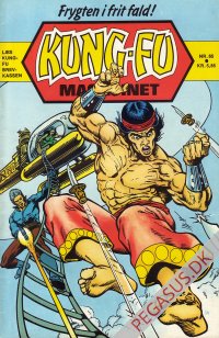 Kung Fu 65