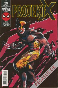 Projekt X 29
