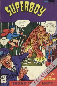 Superboy 19