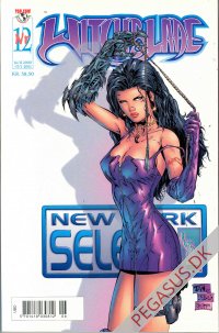 Witchblade 12