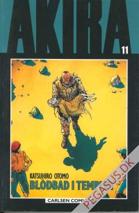 Akira 11: Blodbad i templet