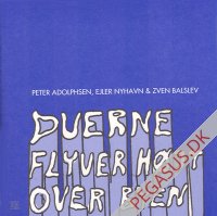 676 6: Duerne flyver h&oslash;jt over byen