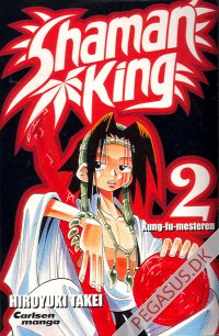 Shaman King 2: Kung-fu-mesteren