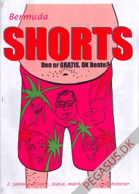 Shorts 2: Bermudashorts