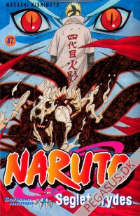 Naruto 47: Seglet brydes