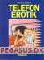 Telefon erotik