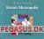 Homo metropolis 8: Udvalgte historier 2003-04
